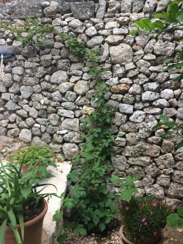 Apartamento Dimora Le Zagare