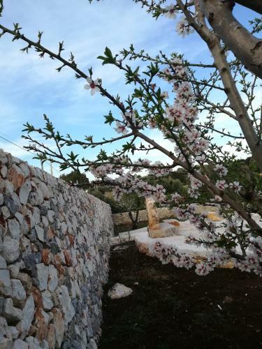 Hostal Dimora Il Mandorlo