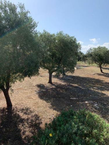 Trullo Palummieddu