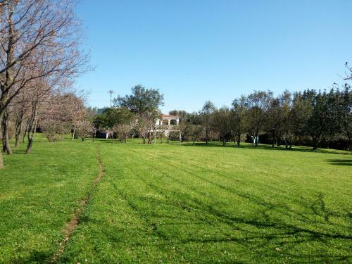 Villa Floris Con Giardino Mediterraneo E Parco - Wifi