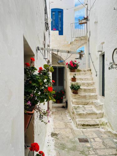 Apartamento White Stone- La Nicchia
