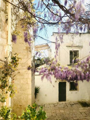 Apartamento White Stone- La Nicchia