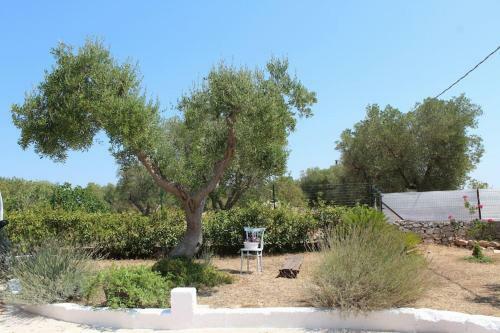 Trullo Titti