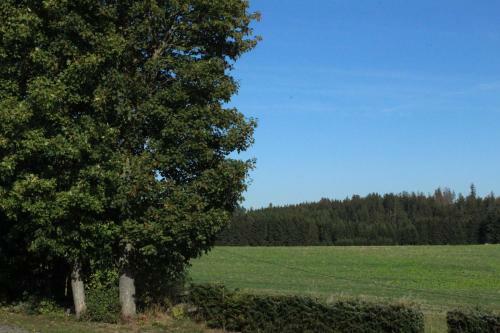Apartamentos Ferienwohnung Schlegel
