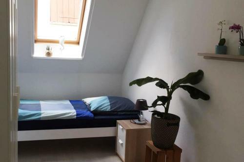 Apartamento Ferienwohnung In Korb