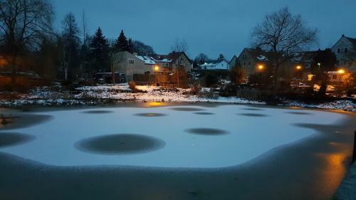 Apartamento Fewo "am Teich"