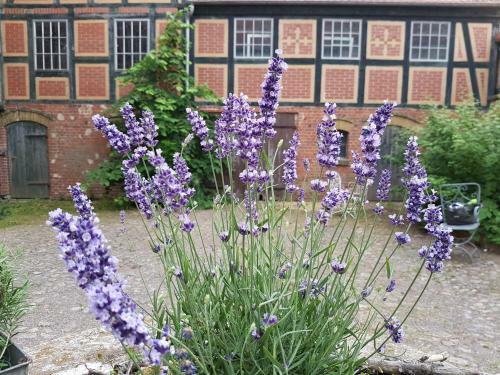 Bed & Breakfast Alte Lebkuchenfabrik