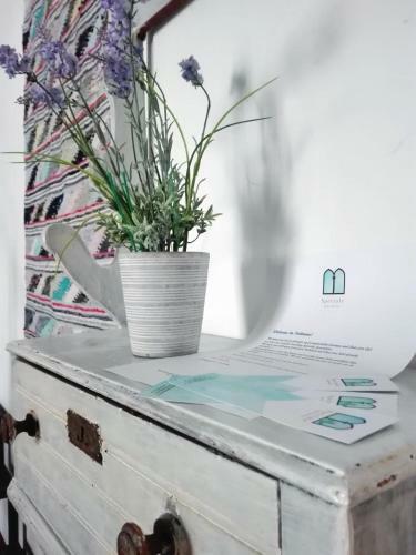 Speciale Apartment