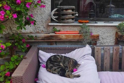 Hostal Kaleidos Guest House