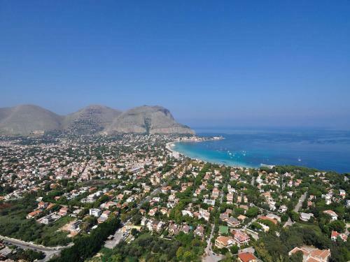 B&B Pisani