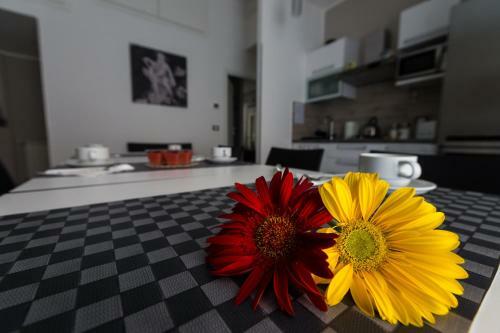 Apartamento Casant� Guest Home