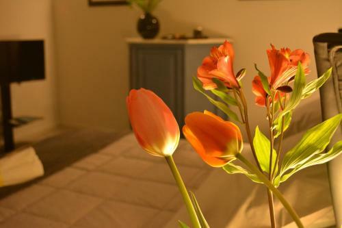 Apartamento Valuan Luxury Home