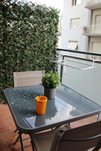 B&B D'amari