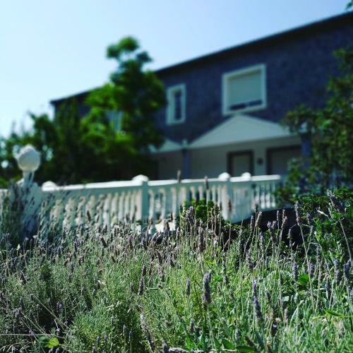 Hotel Villa Ignacia