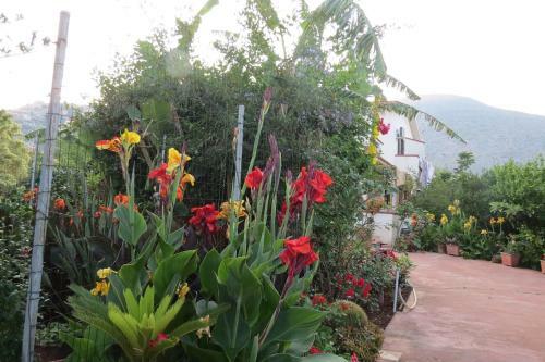 Villa Il Roseto Di Betty