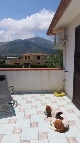Villa Il Roseto Di Betty