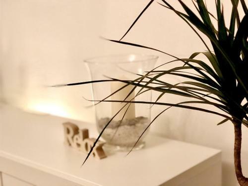 Apartamento Gem�tliche Wohnung Im Stadtzentrum Mit Netflix