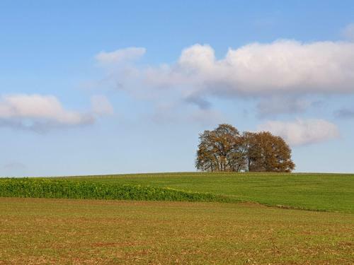 Apartamento Haus K�lsch