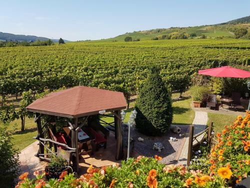 Ferienweingut R�mer-knodt