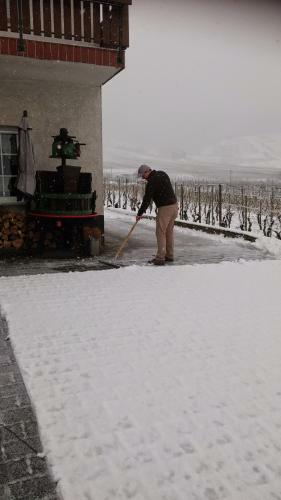 Ferienweingut R�mer-knodt