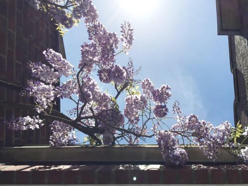 Apartamento Bel Xanto