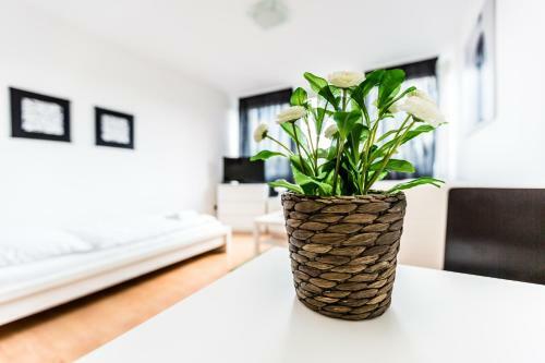 Budget Apartment K�ln