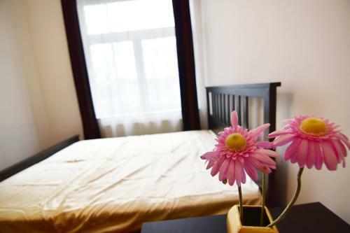 City Apartment K�ln