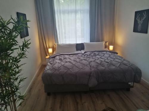 Apartamento K�lsche Wohnung 2c