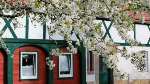 Apartamento Ferienwohnung Zittauer Gebirge