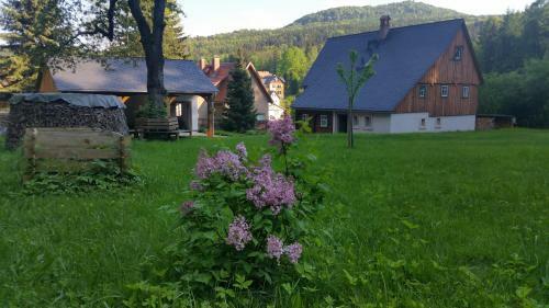 Am Waldessaum