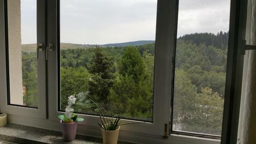 Apartamento Tom"s Feriendomizil
