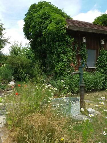 Apartamento Haus An Der Kupfer