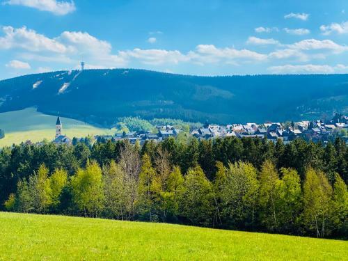 Apartamento Ferienwohnung-direkt-am-skihang