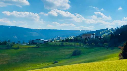 Apartamento Ferienwohnung-direkt-am-skihang