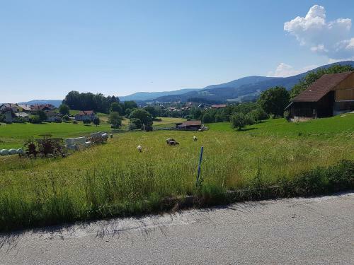 Apartamentos Ferienwohnung K�ck