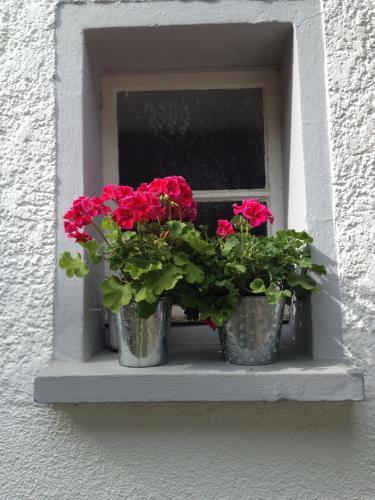 Apartamento Ferienwohnung Lahnm�ndung