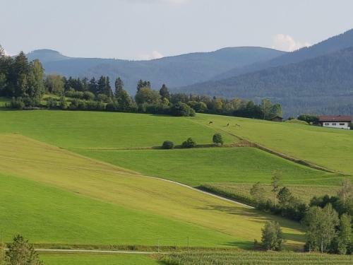 Apartamento Wohnung Wiesengr�n - Osserblick