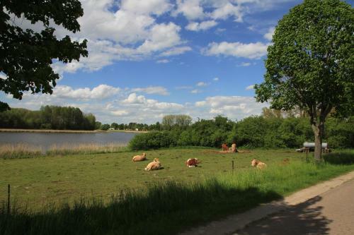 Ferienh�user Seeblick