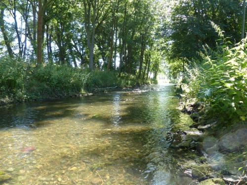 Apartamento Ferienwohnung Mit Brockenblick