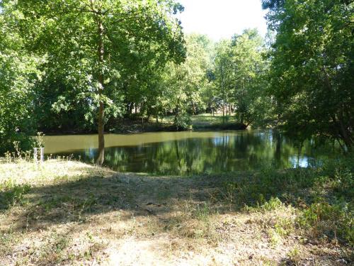 Apartamento Ferienwohnung Mit Brockenblick