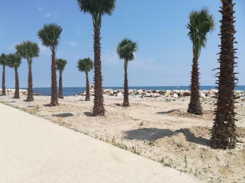 Apartamento Appartamento Con Terrazza Sul Mare