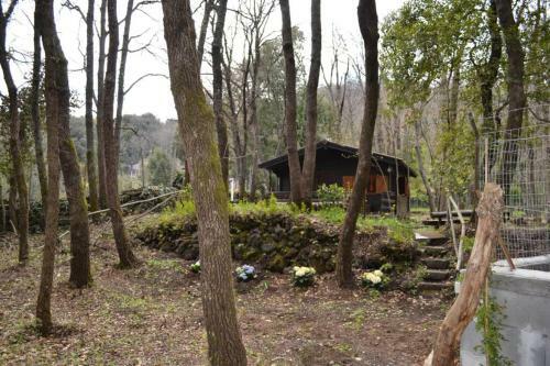 Intry Etna Chalet