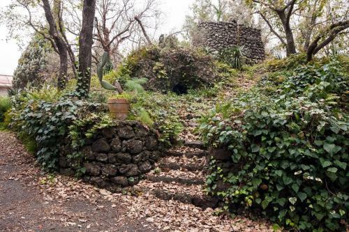 Villa Sull'etna Immersa Nel Bosco