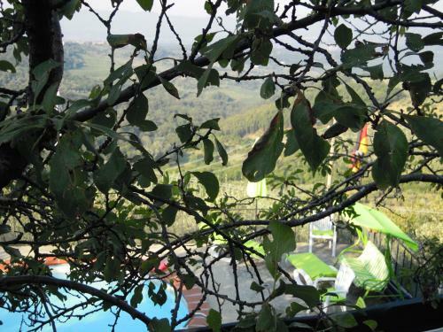 Agroturismo Bel Panorama Tre