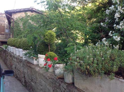 Apartamento Il Rosmarino