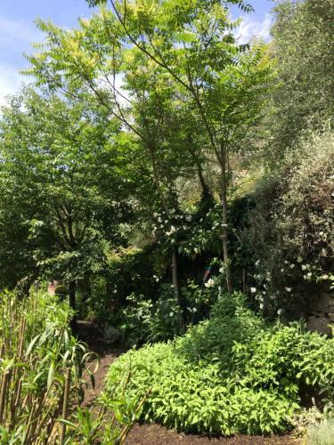 Apartamento Il Rosmarino