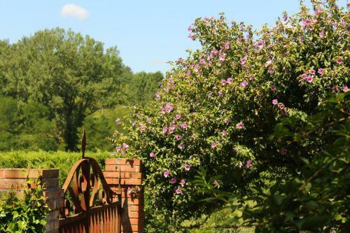 Bed & Breakfast Il Casolare