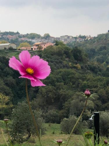 B&B Dolce Far Niente