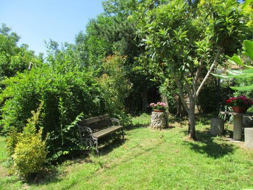 B&B Carboni
