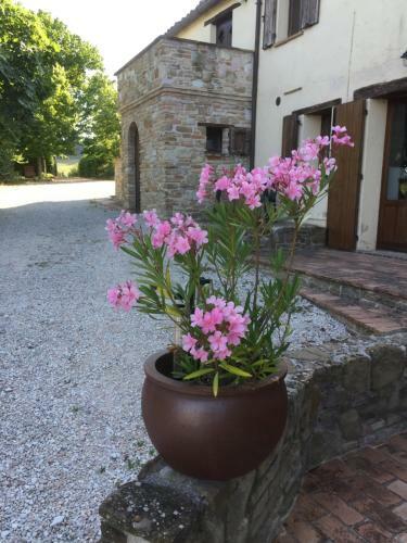 Apartamento Colle Del Lupo